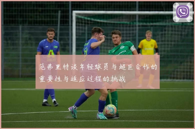 范弗里特谈年轻球员与超巨合作的重要性与适应过程的挑战