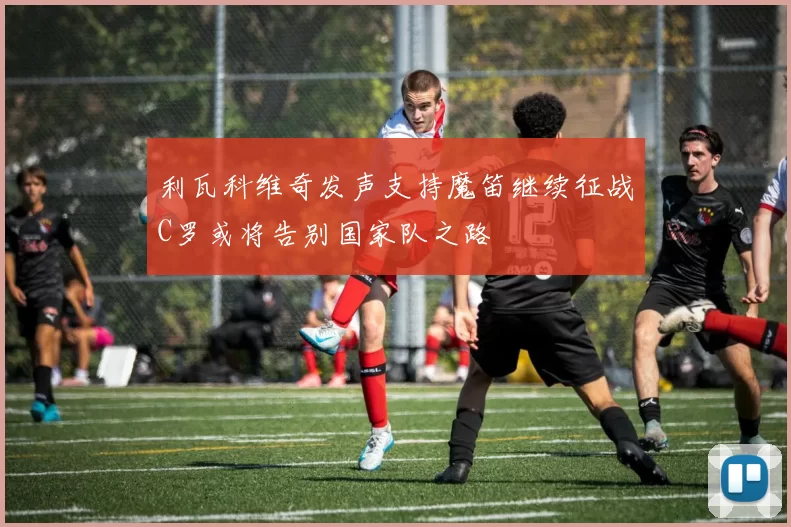 利瓦科维奇发声支持魔笛继续征战C罗或将告别国家队之路